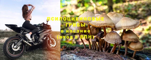 мяу мяу мука Киренск