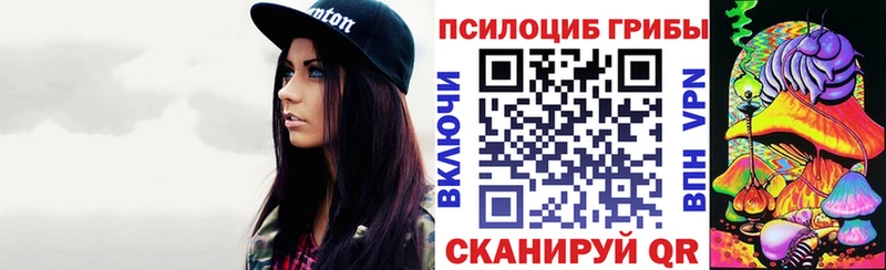 Купить  Пикалёво  Галлюциногенные грибы GOLDEN TEACHER 
